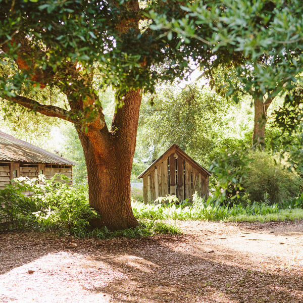 Botanic Garden at Georgia Southern University