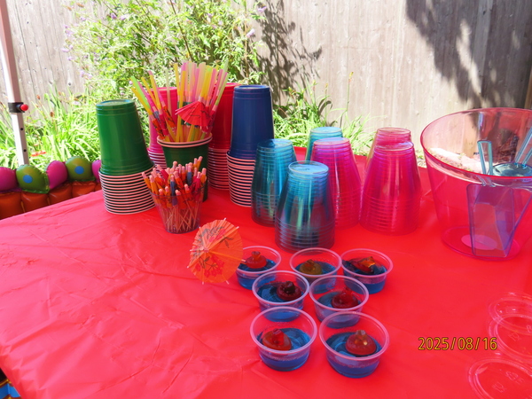 Sakonnet & Co Events