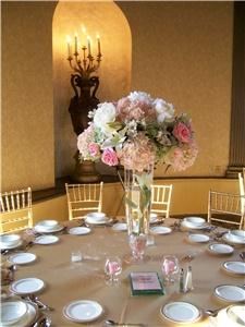 blossoms design  boutique