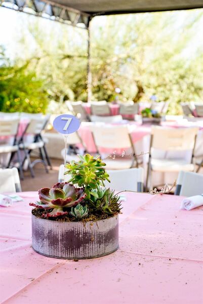 Tohono Chul Garden / Garden Bistro