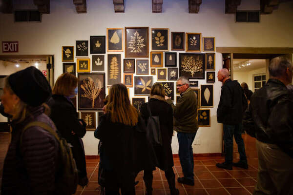 Tohono Chul Garden / Garden Bistro