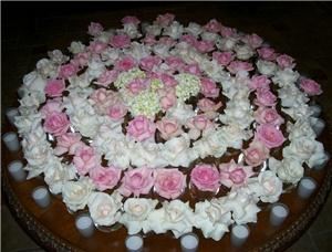 Cape Coral Floral Designs