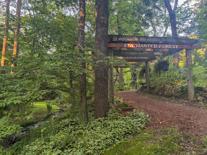 Enchanted Forest