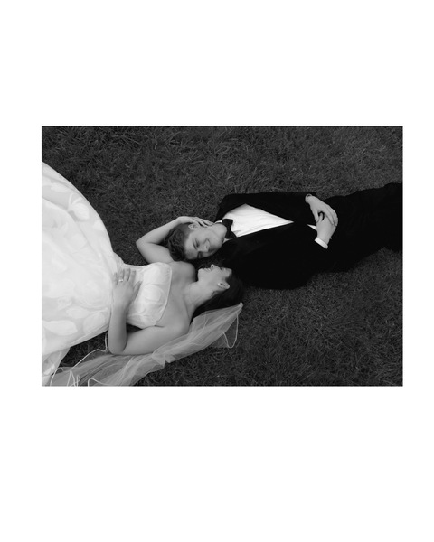 SASSAFRAS SPRINGS VINEYARD