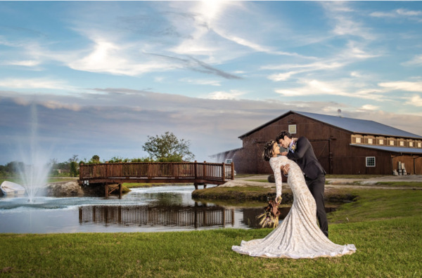 Ever After Farms Stockyard