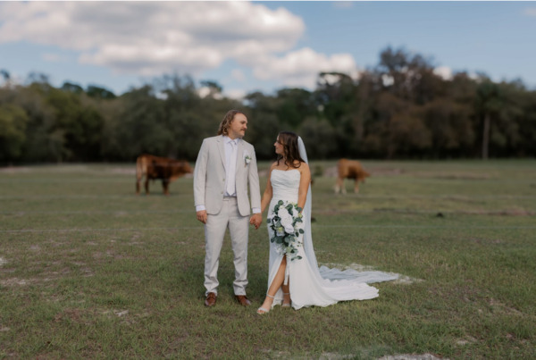 Ever After Farms Vineyard