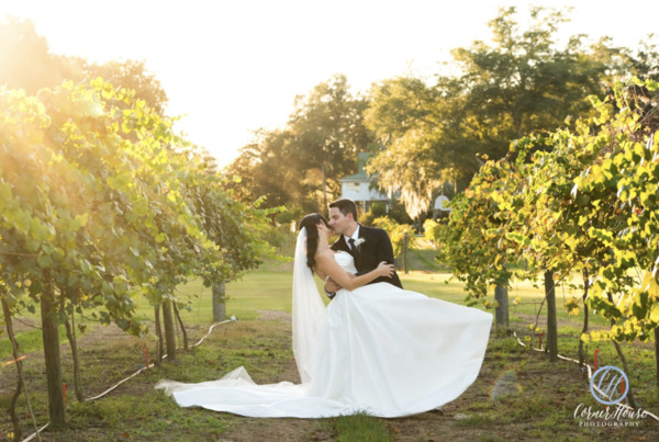 Ever After Farms Vineyard