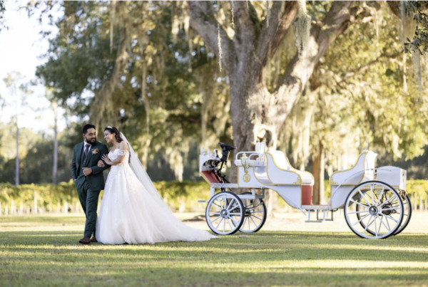 Ever After Farms Vineyard