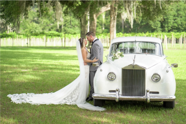 Ever After Farms Vineyard