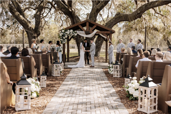 Ever After Farms Vineyard