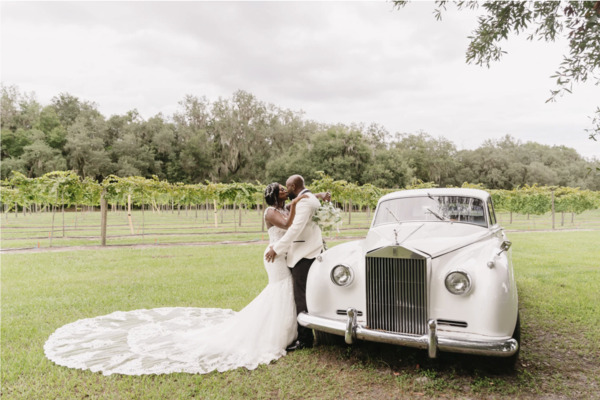 Ever After Farms Vineyard