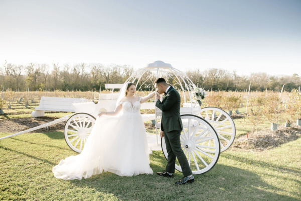 Ever After Farms Blueberry