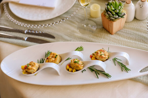 Bloom Events | Jungle Island