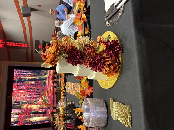 The REES Theatre Inc.