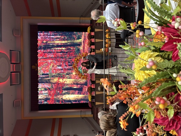 The REES Theatre Inc.