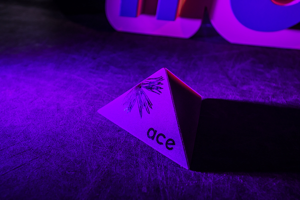 The Bees Knees Design