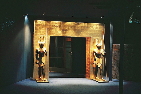 The Bees Knees Design