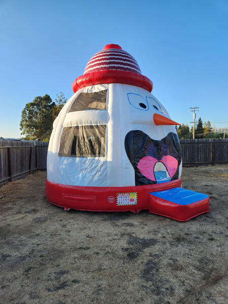 Sonoma Party Rentals