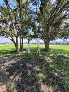 Aero Strip Ceremony Site