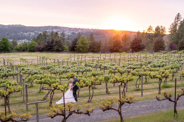 Arbor Crest Wine Cellars