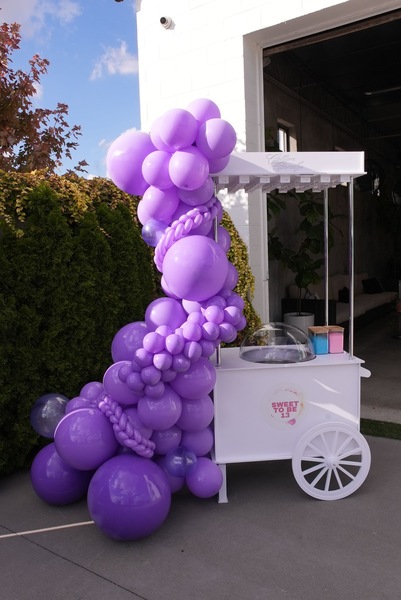 LuXxe Party Rental LLC