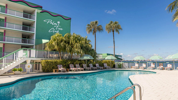 Palm Tree Club Miami