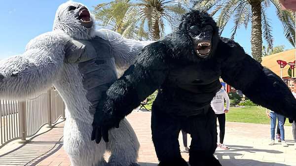 DMV Party Zone Dancing Gorilla, Polar Bear and Panda