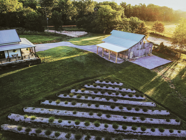 La Grange Lavender Co