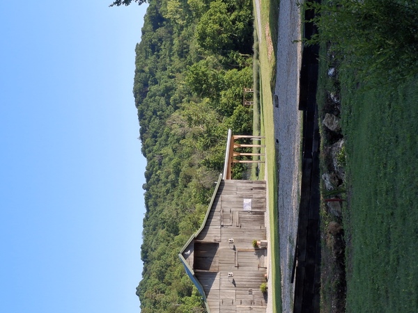 La Grange Lavender Co