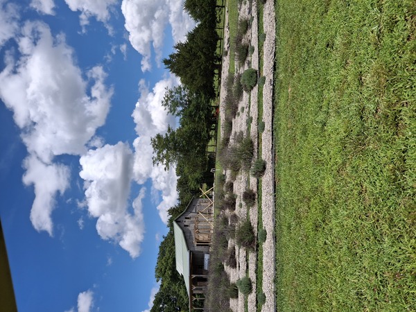 La Grange Lavender Co