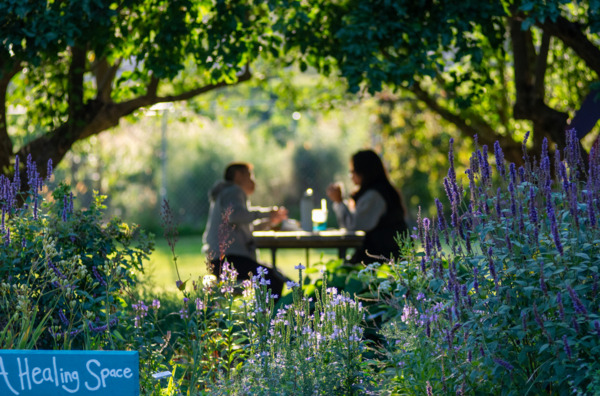 History Center of Olmsted County