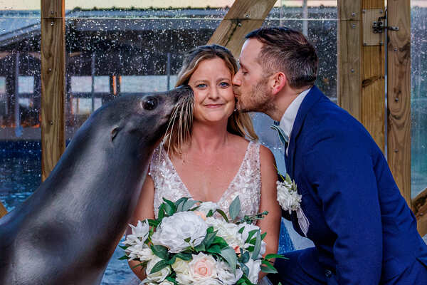 Gulfarium Marine Adventure Park