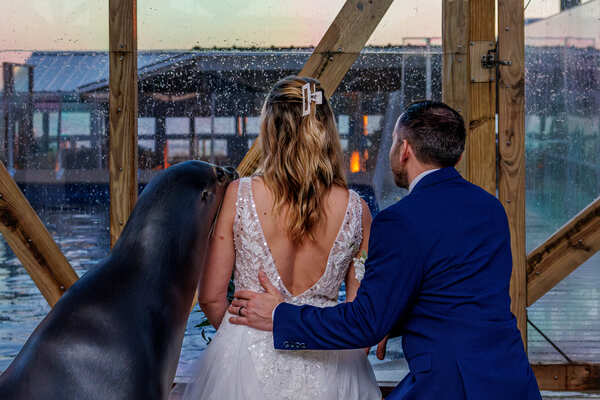 Gulfarium Marine Adventure Park