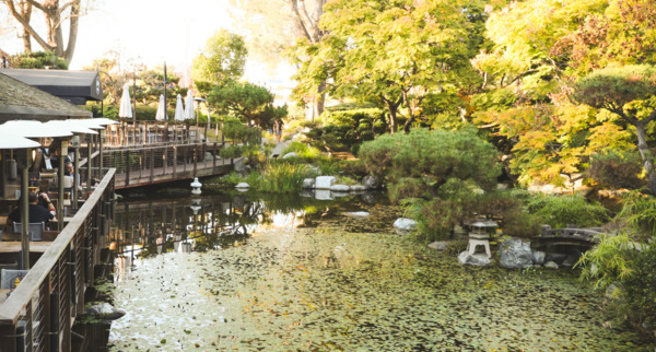 Karl Strauss Brewing Company - Sorrento Mesa