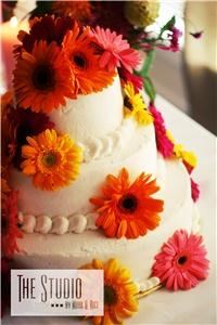 The Studio by Mark A. Rice