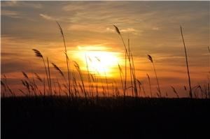 Betty Bryant Photography