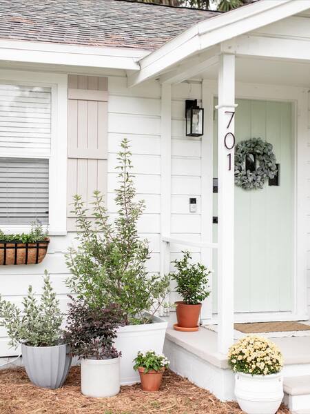 The Cottage Conservatory