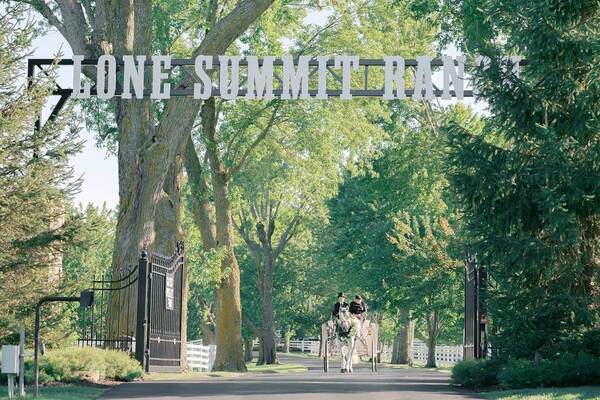Lone Summit Ranch
