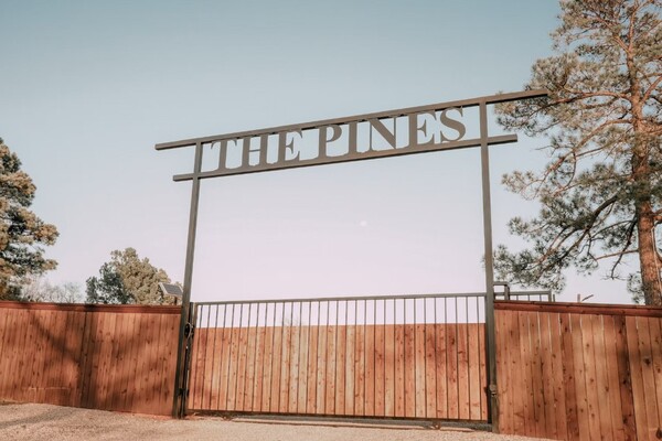 The Pines of Alvarado