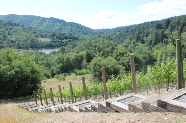 Lexington Hills Estate & Winery