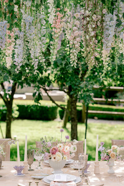 Shantel Wall Photography