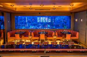 The Rainbow Reef Room