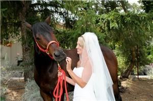 Captured Light Images - Sacramento