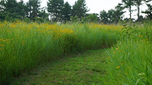 Three Waters Reserve