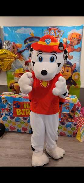 Party Balloons & More