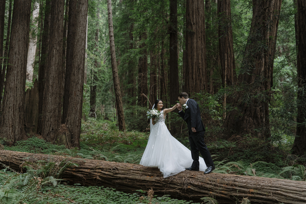 Rachel Levine Photography