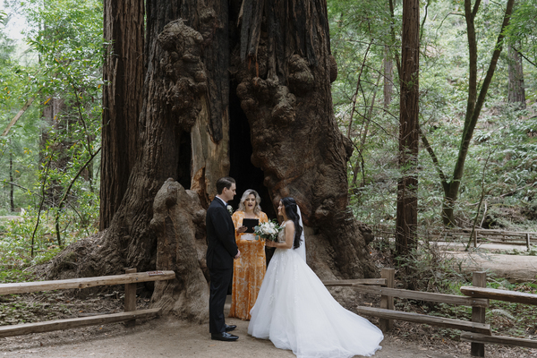 Rachel Levine Photography