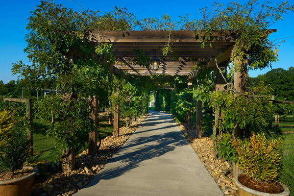 Spinning Leaf by Wedgewood Weddings