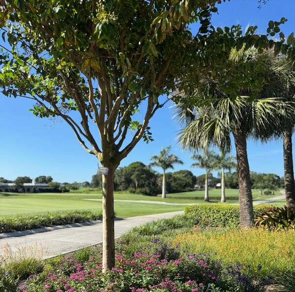 Suntree Country Club