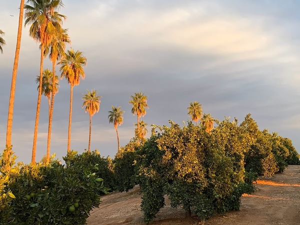 California Citrus State Historic Park